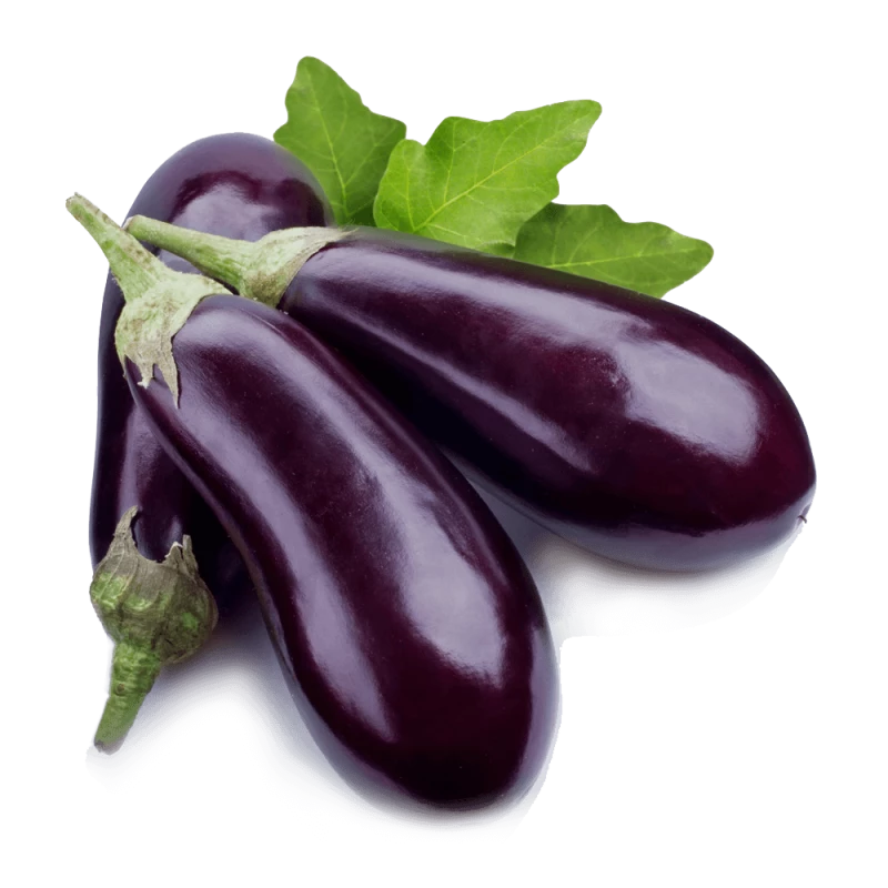 Aubergine violette