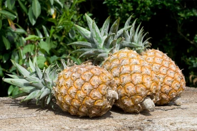 Ananas