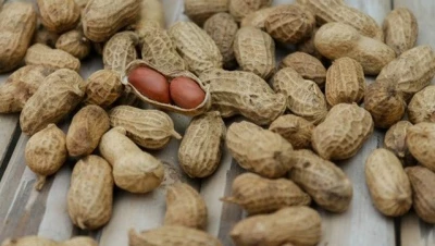Cacahuète (Arachide)