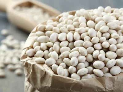 Haricot blanc