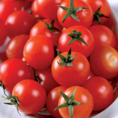 Tomate cerise