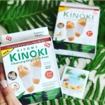 Detox kinoki pate originale de nettoyage pour les pieds 10 pcs sur Mbote Shop