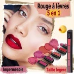 Rouge à Lèvres 5 en 1 - Matte - Imperméable - Qualité Supérieure sur MboteShop